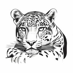 A complete drawing of a resting jaguar, defined by clear contours and set against a white background.