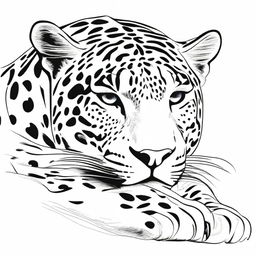 A complete drawing of a resting jaguar, defined by clear contours and set against a white background.