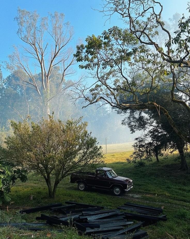 A serene countryside scene featuring a vintage truck parked beneath a lush tree, with mist rolling over the green hills in the background