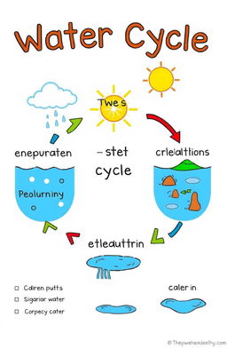 A visually engaging educational illustration depicting a simple and clear diagram of the water cycle, showing all stages: evaporation, condensation, precipitation, and collection