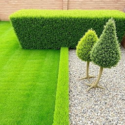 Design of a rectangular garden split evenly between lush green grass on one side and decorative gravel on the other
