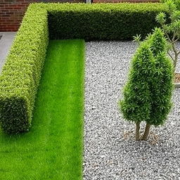 Design of a rectangular garden split evenly between lush green grass on one side and decorative gravel on the other