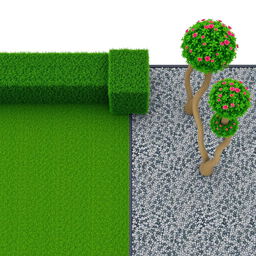 3D rendering of a rectangular garden design divided equally into two sections: one side featuring lush green grass and the other side showcasing decorative gravel