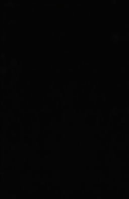 A dramatic black background featuring a subtle shimmer effect at the sides and corners, creating an elegant and captivating ambiance