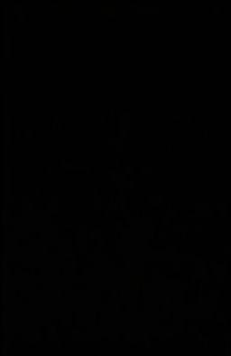 A dramatic black background featuring a subtle shimmer effect at the sides and corners, creating an elegant and captivating ambiance