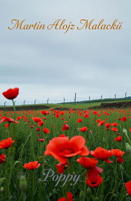 A serene World War I battlefield near Verdun, beautifully covered in vibrant red poppies swaying gently in the breeze