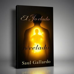 A book cover featuring a human silhouette illuminated from behind