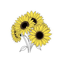 An illustration of a bouquet of five sunflowers, finely outlined
