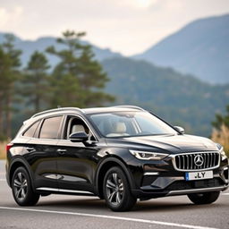 A beautiful, large but not overly large black family car featuring the logo 'LY'