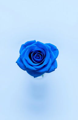 A single, vibrant blue rose with intricate petal details, placed elegantly in the center of a plain, soft-focus background that enhances the rose's beauty, showcasing its rich blue color and delicate texture
