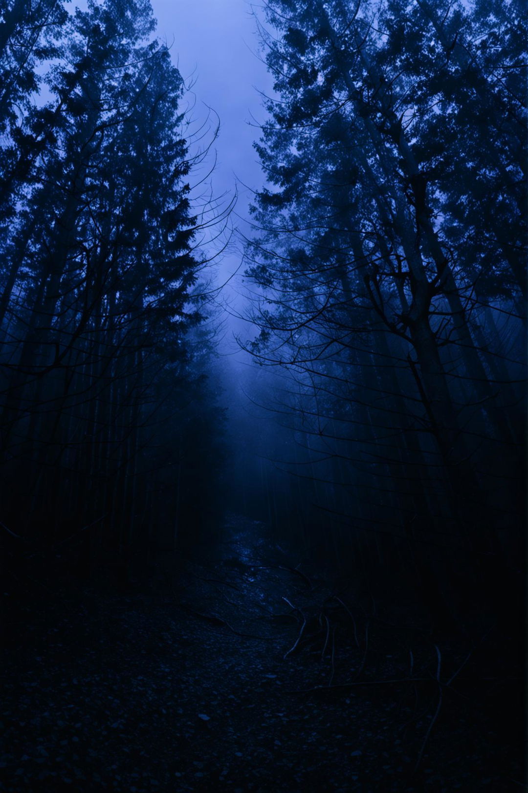 A high-resolution, cinematic photograph illustrating the dark forest theory