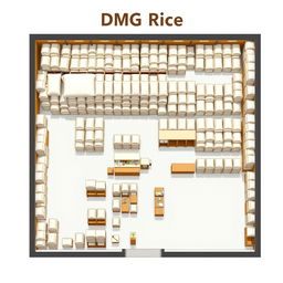 A comprehensive floor plan of a DMG Rice supply store, emphasizing a large stock room filled with neatly piled sacks of rice