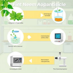 A visually informative illustration depicting the step-by-step process of neem nanoparticle formation