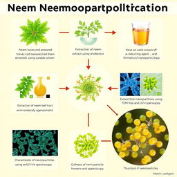 An informative illustration depicting the entire process of neem nanoparticle formation, including detailed steps: First, show neem leaves being harvested and prepared