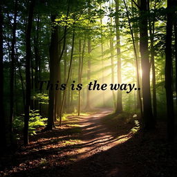 A serene forest path dappled with sunlight filtering through the trees, inviting you to explore