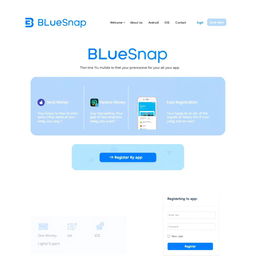 A modern, clean homepage design for a digital wallet service called 'BlueSnap'