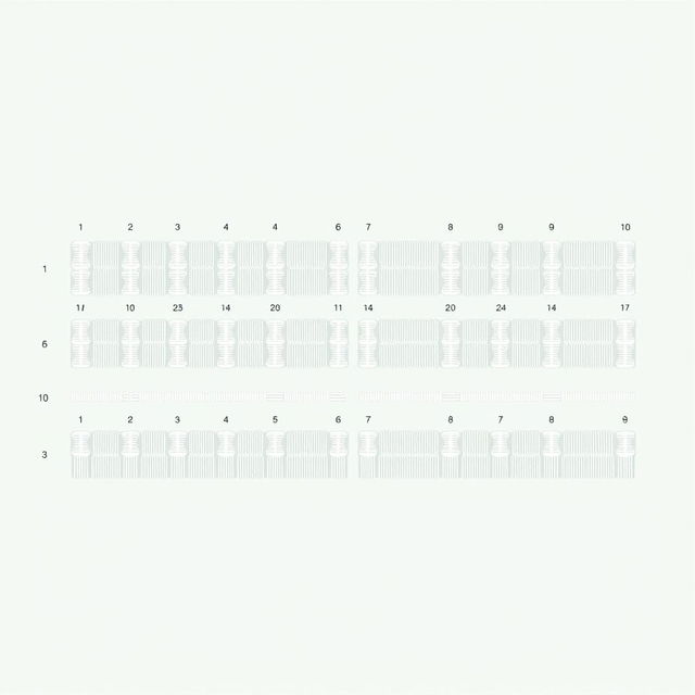 A realistic illustration of the karyotype of the watermelon species Citrullus vulgaris, showcasing 22 chromosomes arranged in order from group 1 to the last