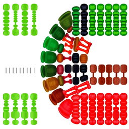 A detailed and visually striking illustration of the karyotype of a watermelon (Citrullus lanatus), showcasing the chromosomes arranged in pairs, with vibrant colors typically associated with watermelon such as green, red, and black