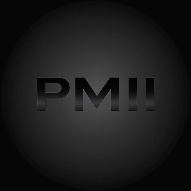 A sleek, modern logo design featuring the letters 'PMII' in an elegant, minimalist style