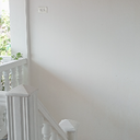 bashful-wood's avatar