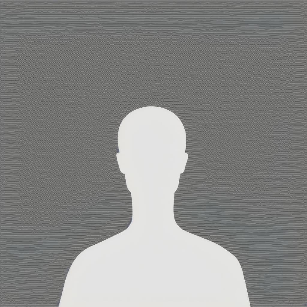 A high-quality, simple digital art piece depicting a generic human silhouette, intended for use as a placeholder avatar in an email interface