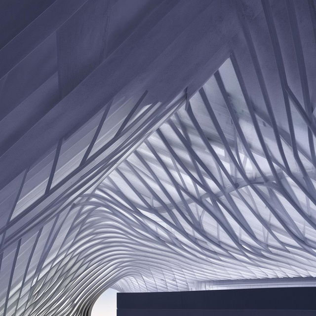 An architectural design of a roof with a unique curved structure