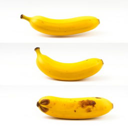 A looping GIF animation showcasing a ripe banana over several frames