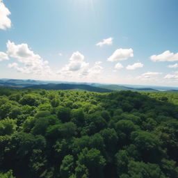 A breathtaking aerial view of a lush green forest taken from a drone, showcasing the intricate patterns and textures of the trees, with sunlight filtering through the leaves, casting beautiful shadows on the forest floor