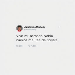 A digital representation of a Twitter (X) post that appears as a screenshot