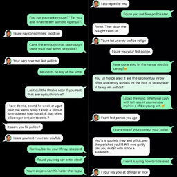 A series of humorous and engaging text message exchanges about police encounters, showcasing witty banter and light-hearted situations
