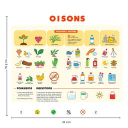 An informative landscape poster illustrating various types of poisons, including plants, chemicals, and household substances