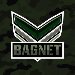 A sleek and modern emblem featuring a prominent chevron design symbolizing Private Military Companies, with the word 'BAGNET' presented in a striking, military-inspired font at the center