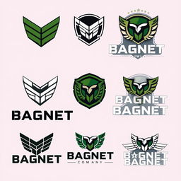 A series of logo designs for a Private Military Company named 'BAGNET'