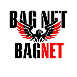 A sleek and modern logo design for a private military company named BAGNET