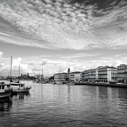 A stunning black and white vertical image of the Havana Bay, capturing the intricate details of the waterfront architecture and boats in the harbor