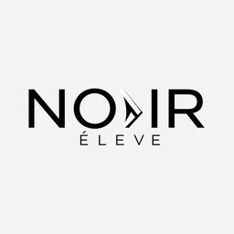 A logo design for the fashion brand 'NOIR Élevé', blending streetwear style with elegance