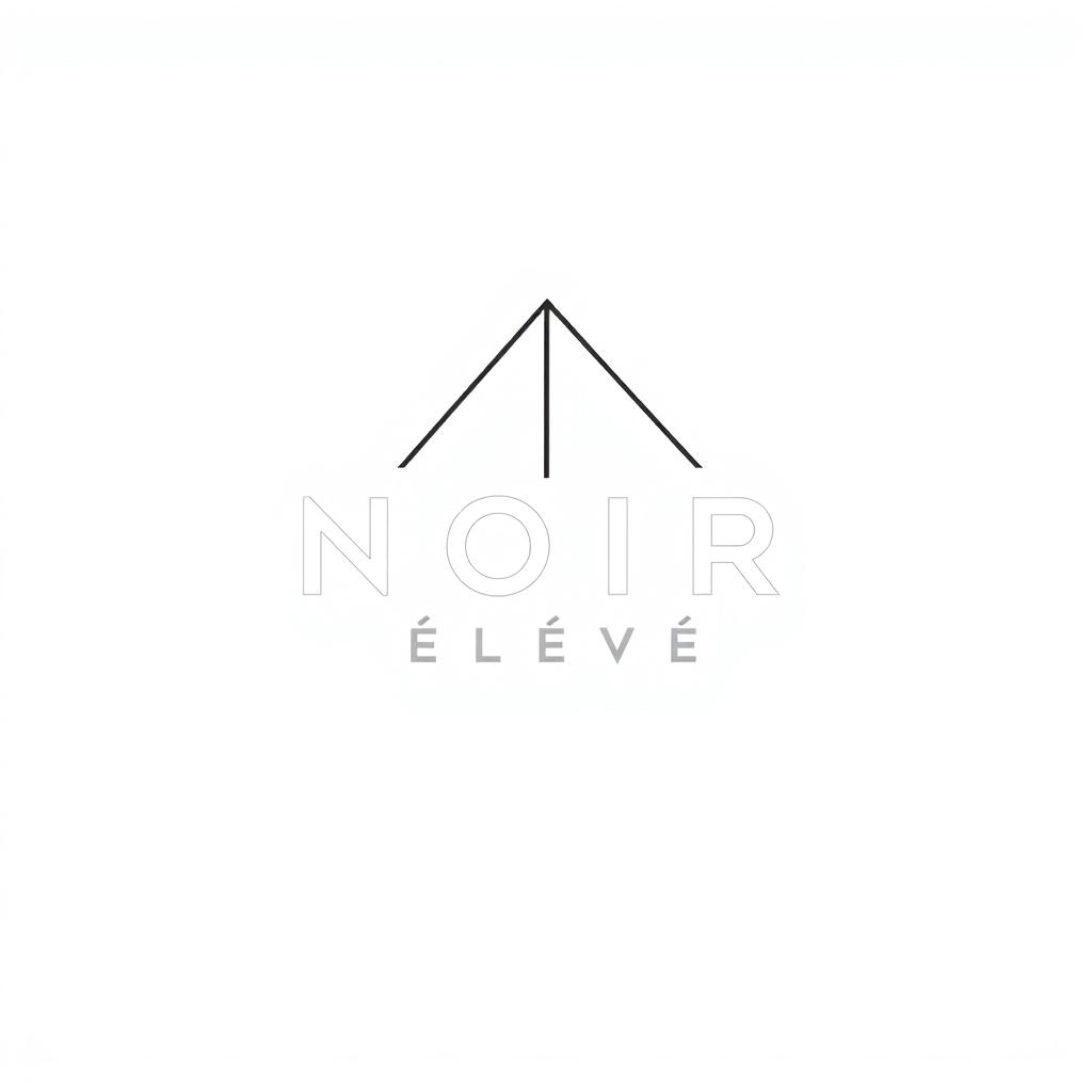 A logo design for the fashion brand 'NOIR Élevé', blending streetwear style with elegance