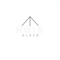 A logo design for the fashion brand 'NOIR Élevé', blending streetwear style with elegance