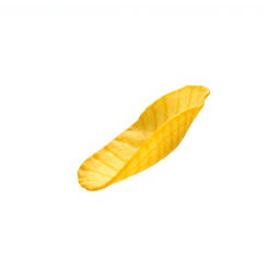 A single, realistic potato chip soaring through the air, captured in a dynamic moment that emphasizes its texture and curvature