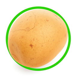 A 3D render of a realistic potato, showcasing its earthy brown skin with realistic texture and subtle imperfections