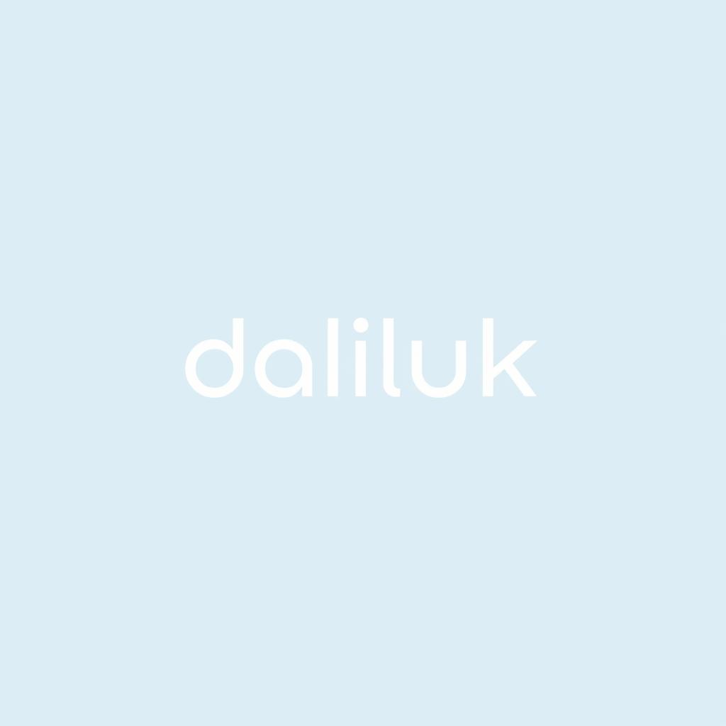 A sleek and modern wordmark logo for a traveling office named 'daliluk'