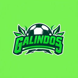 A dynamic and modern logo design for a football team named 'Galindos'