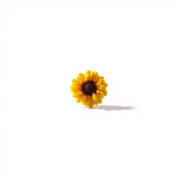 A clear and crisp image with a subject prominently featured in the foreground, set against a pure white background