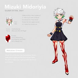 Character sheet for Mizuki Midoriya, older sister of Izuku Midoriya, designed in My Hero Academia art style
