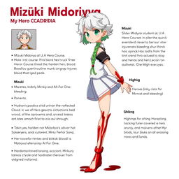 Character sheet for Mizuki Midoriya, older sister of Izuku Midoriya, designed in My Hero Academia art style