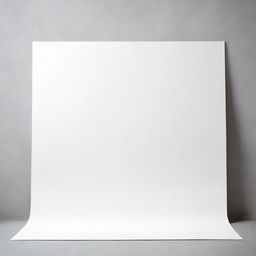 An image of a blank white canvas