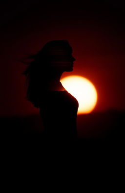 A striking silhouette of a woman, with the full figure filled with a vibrant sunset scene