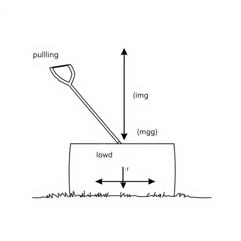 A clear and simple diagram of a lawn roller, featuring labeled arrows