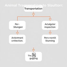 A flowchart diagram illustrating the process of animal transportation to slaughter