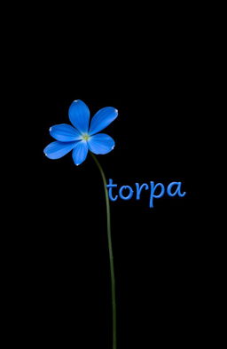 A single blue flower set against a solid black background